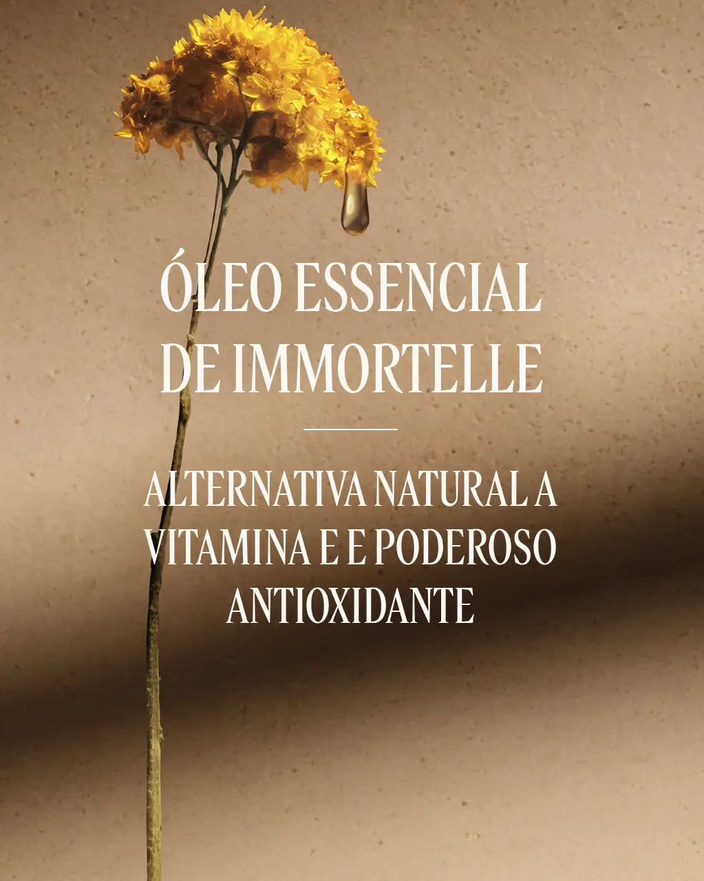 B&aacute;lsamo Corporal Antissinais Immortelle Divine, , large